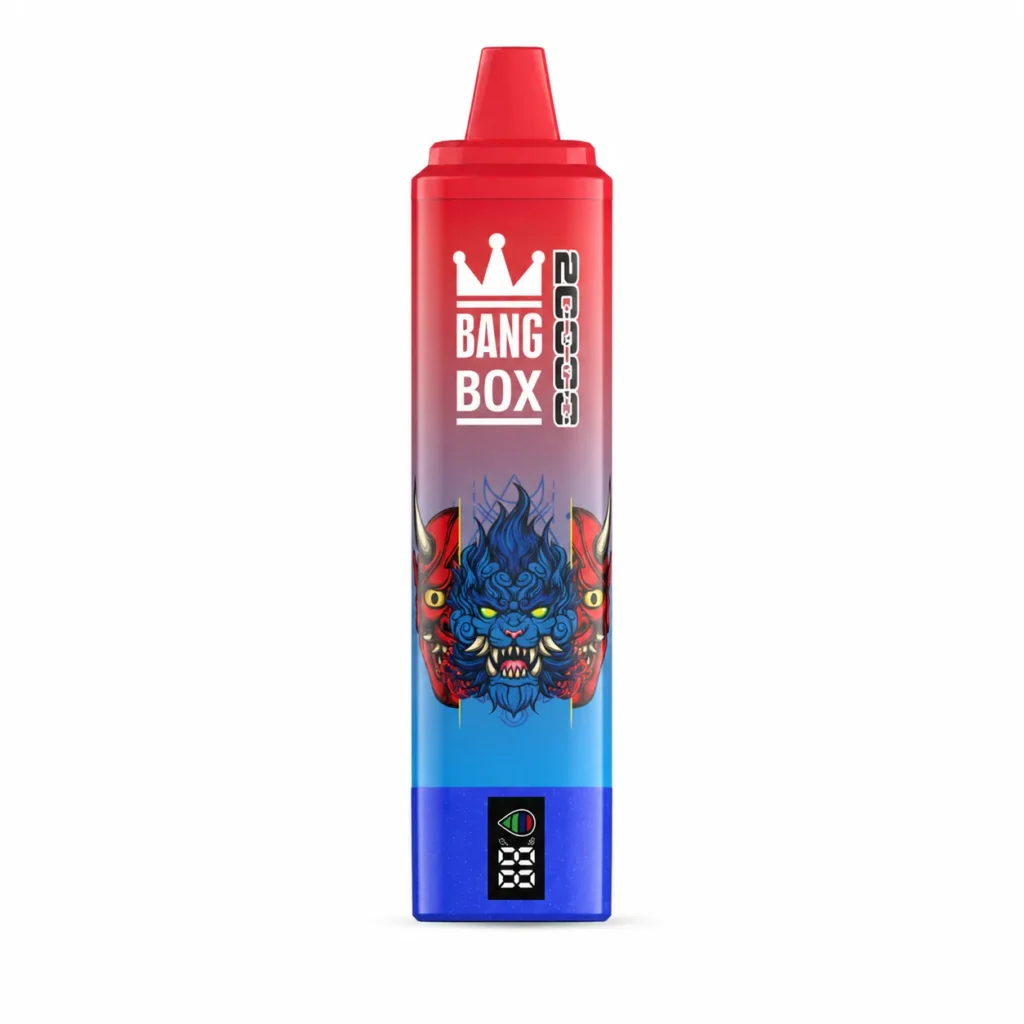 BANGBOX 20K Einweg-E-Zigarette 19ML – 10er-Box