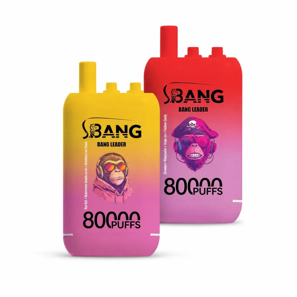 Bang Leader 80000 80K Züge 3-in-1 Aromen Original wiederaufladbar Einweg-E-Zigarette – 3er-Box