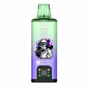 Bang Box 200K 8-in-1| 200000 Züge 8-Aromen Vape Großhandel