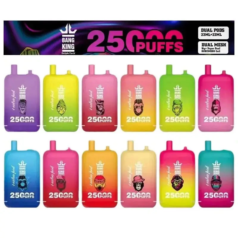 BANG King 25K Dual Pod Produktansicht auf weißem Hintergrund